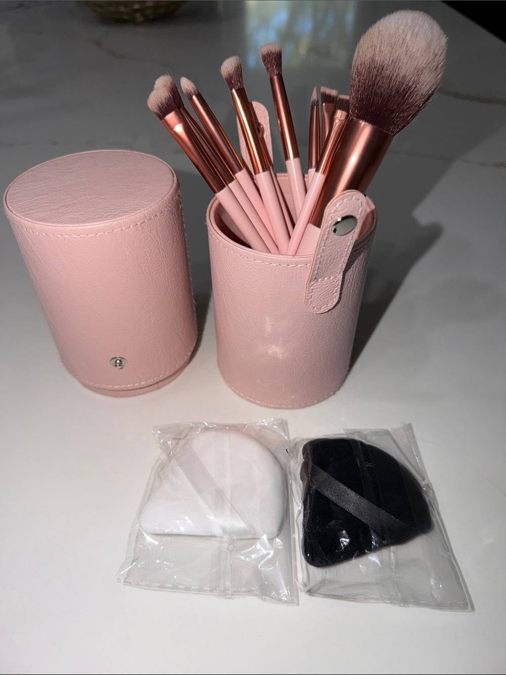 NWOT Pink 10 Piece Makeup Brush Set with Case and sponges
